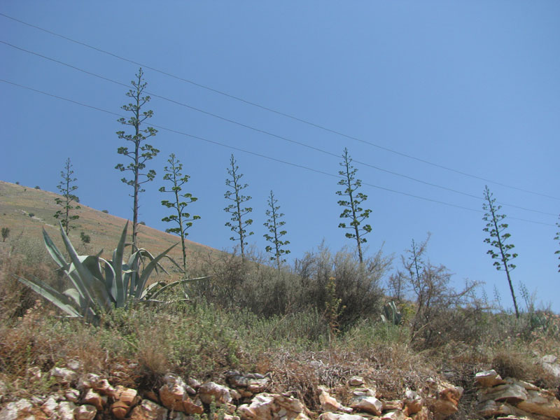 border=