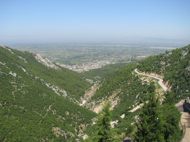  border=